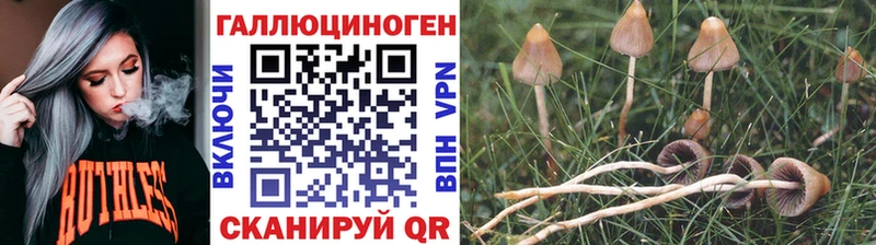 Галлюциногенные грибы Magic Shrooms  Новый Оскол 
